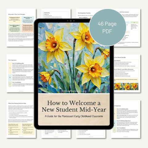 How to Welcome a New Student Mid-Year