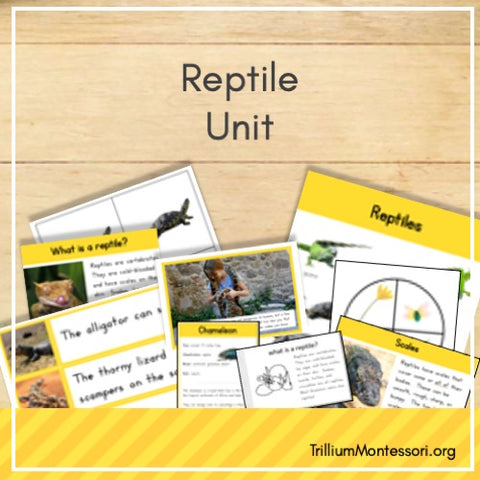 Reptiles Unit