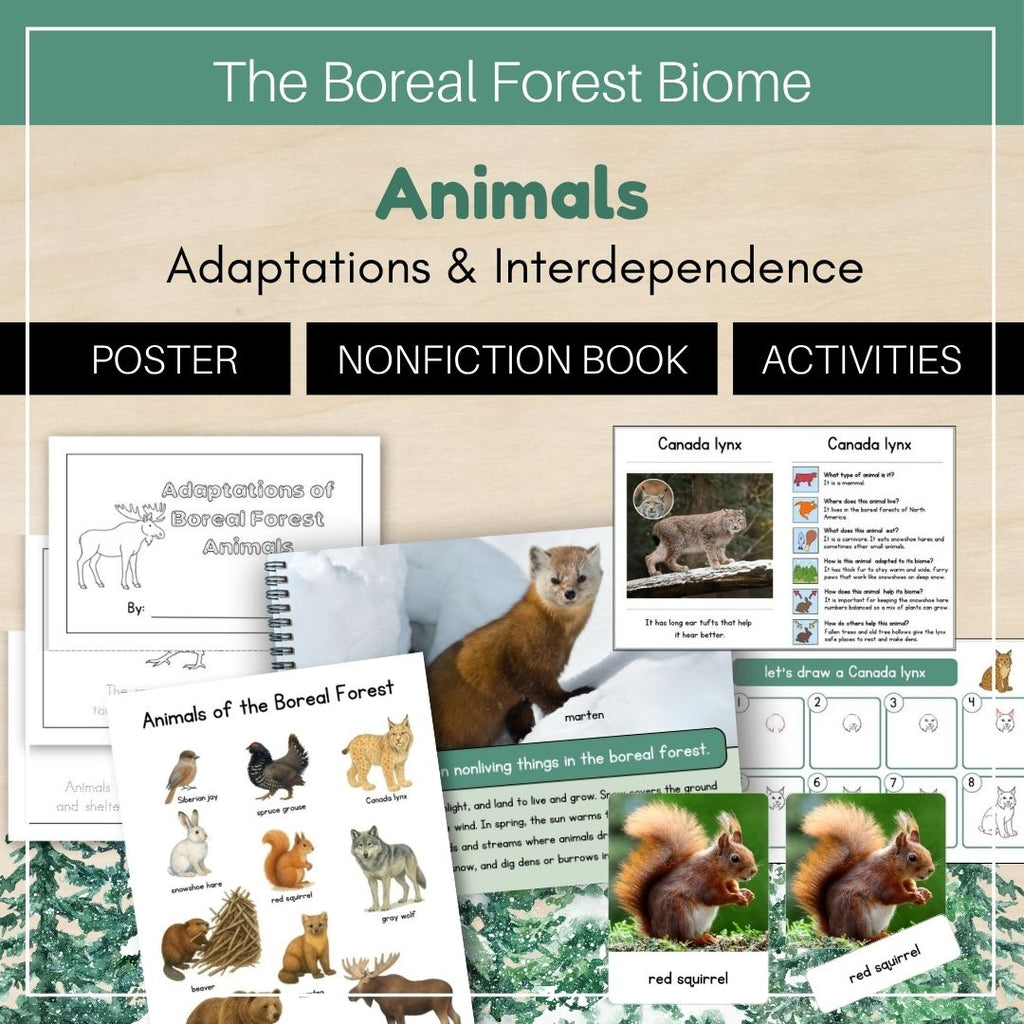 Boreal Forest  (Taiga) Biome: Animals