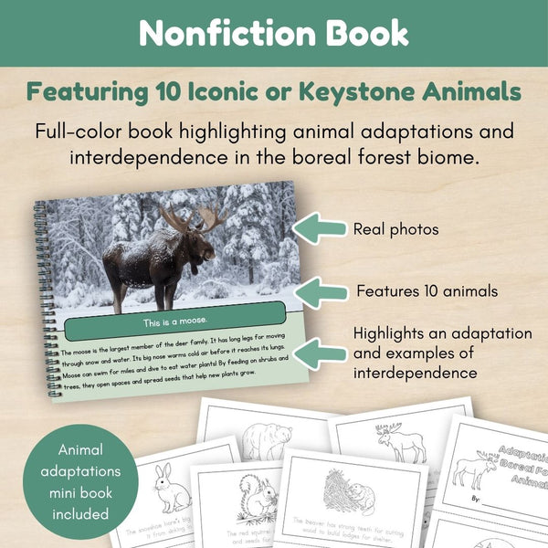 Boreal Forest  (Taiga) Biome: Animals