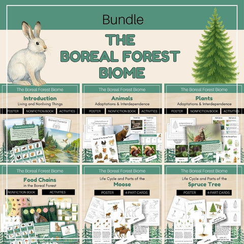 Boreal Forest (Taiga) Biome: Bundle
