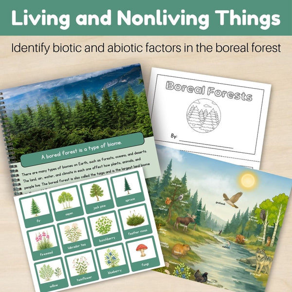 Boreal Forest (Taiga) Biome: Bundle