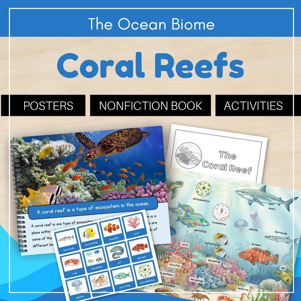 Ocean Biome: Coral Reef Ecosystem