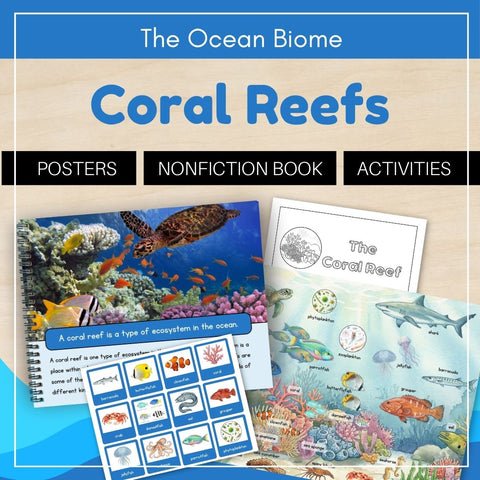 Ocean Biome: Coral Reef Ecosystem
