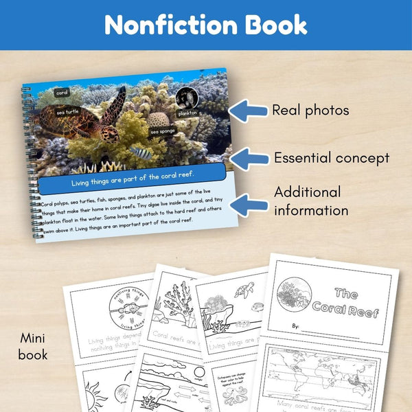 Ocean Biome: Coral Reef Ecosystem