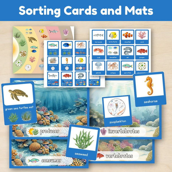 Ocean Biome: Coral Reef Ecosystem