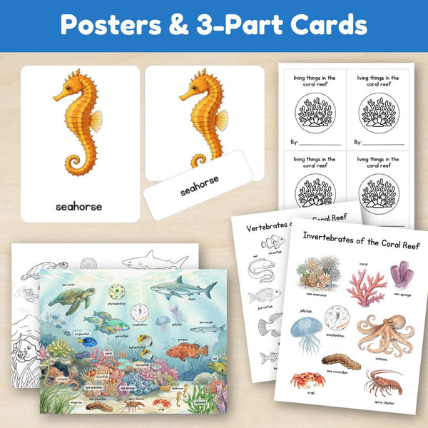 Ocean Biome: Coral Reef Ecosystem