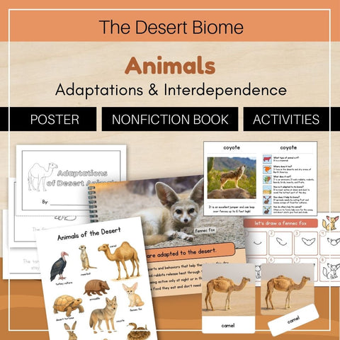 Desert Biome: Animals