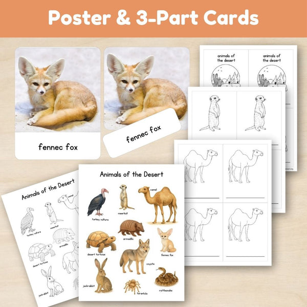Desert Biome: Animals - Trillium Montessori