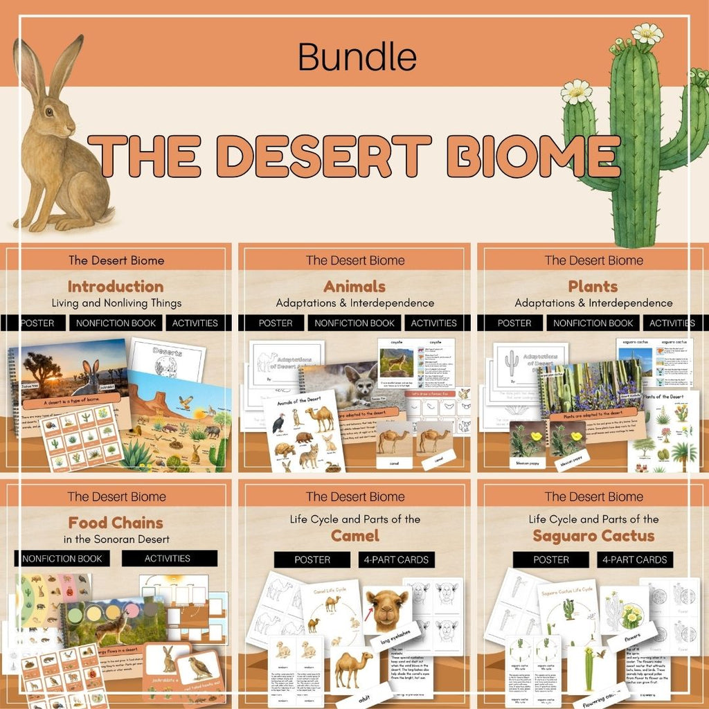 Desert Biome: Bundle