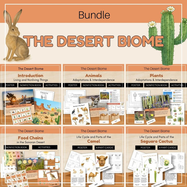 Desert Biome: Bundle
