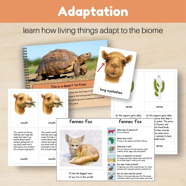 Desert Biome: Bundle