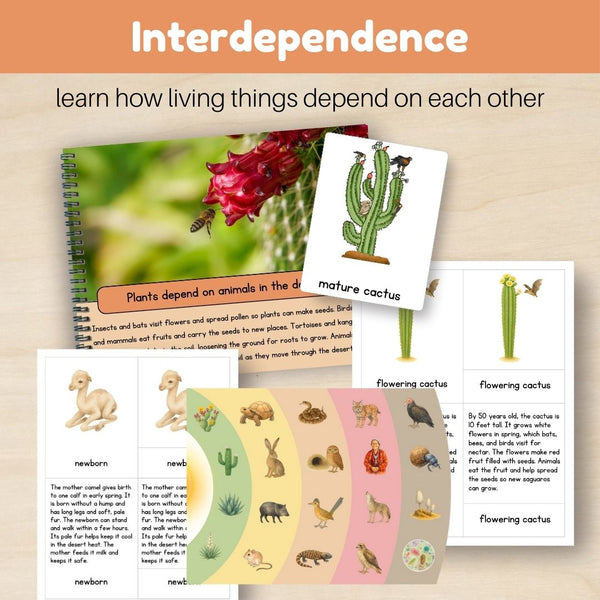 Desert Biome: Bundle