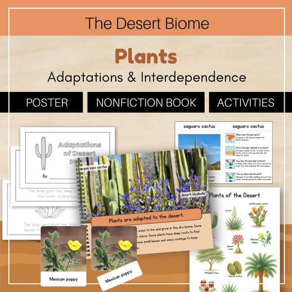 Desert Biome: Plants - Trillium Montessori