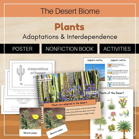 Desert Biome: Plants