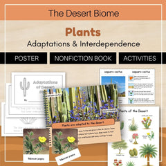 Desert Biome: Plants