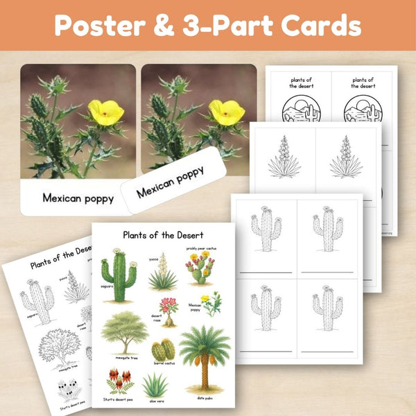 Desert Biome: Plants - Trillium Montessori