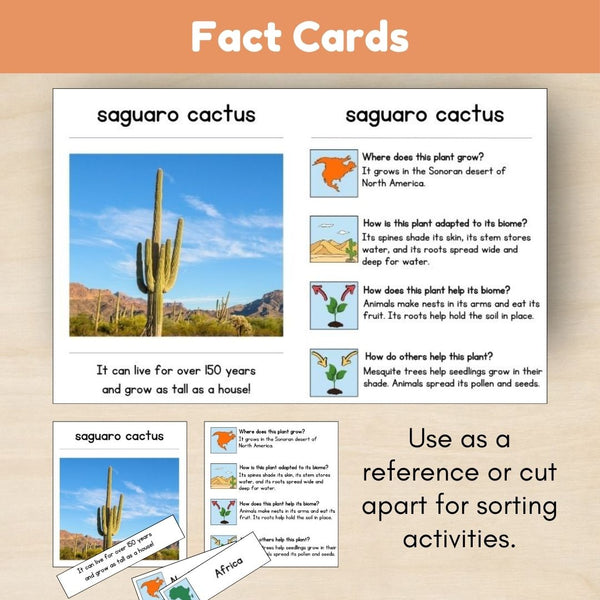 Desert Biome: Plants - Trillium Montessori