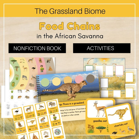 Grassland Biome: Food Chains - Trillium Montessori