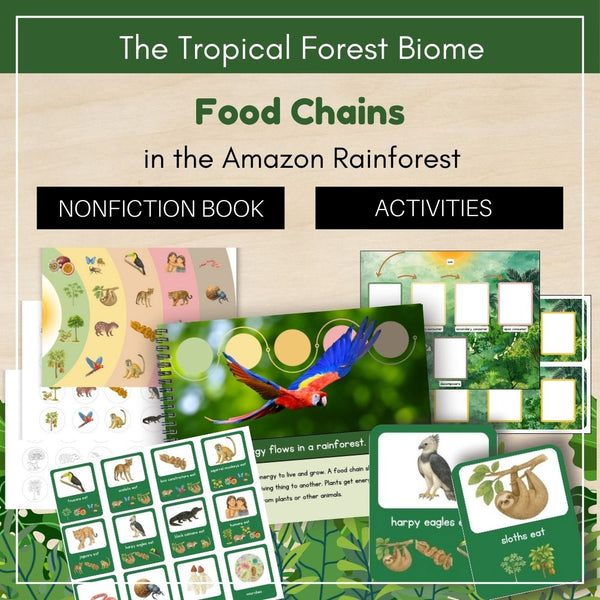 Tropical Forest Biome: Food Chains in the Amazon Rainforest - Trillium Montessori