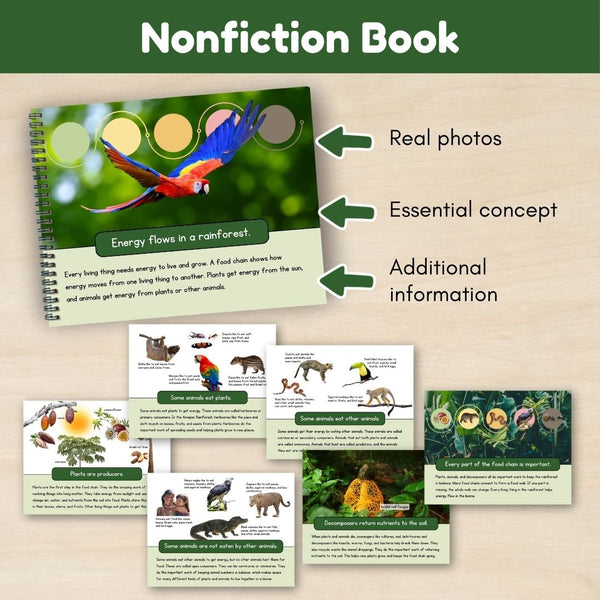 Tropical Forest Biome: Food Chains in the Amazon Rainforest - Trillium Montessori