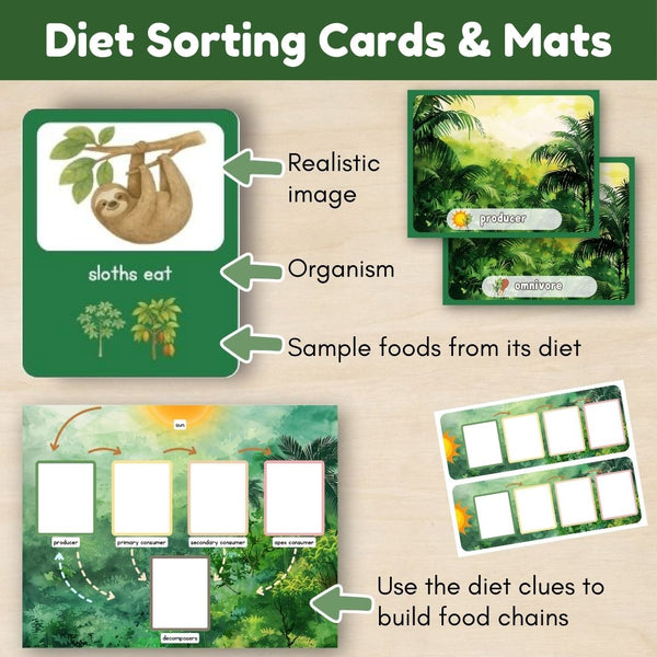 Tropical Forest Biome: Food Chains in the Amazon Rainforest - Trillium Montessori