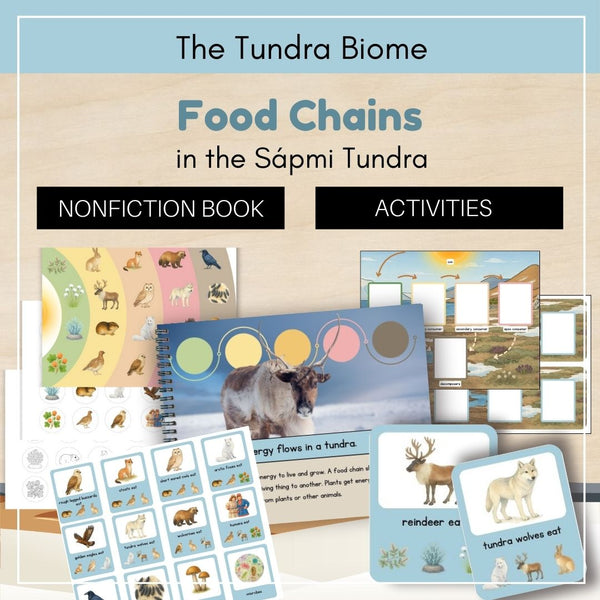 Tundra Biome: Food Chains