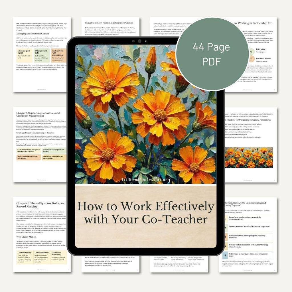 How to Work Effectively with Your Co-Teacher