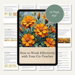 How to Work Effectively with Your Co-Teacher