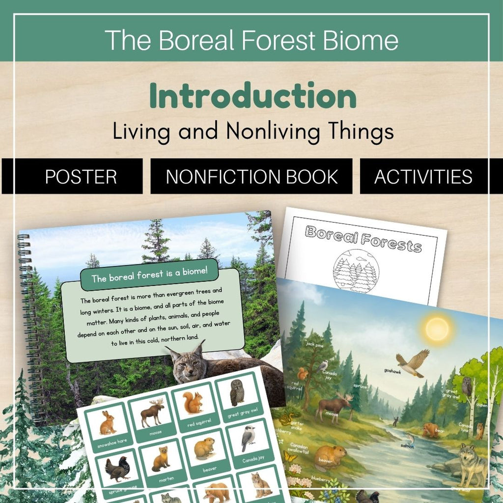 Boreal Forest (Taiga) Biome: Introduction