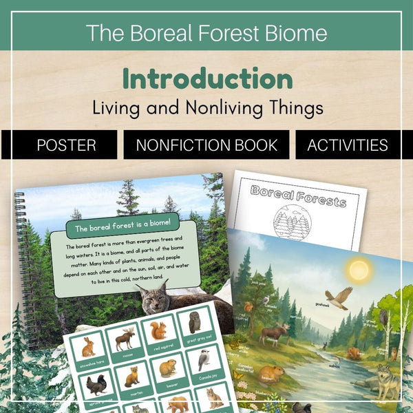 Boreal Forest (Taiga) Biome: Introduction
