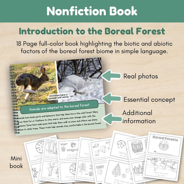 Boreal Forest (Taiga) Biome: Introduction