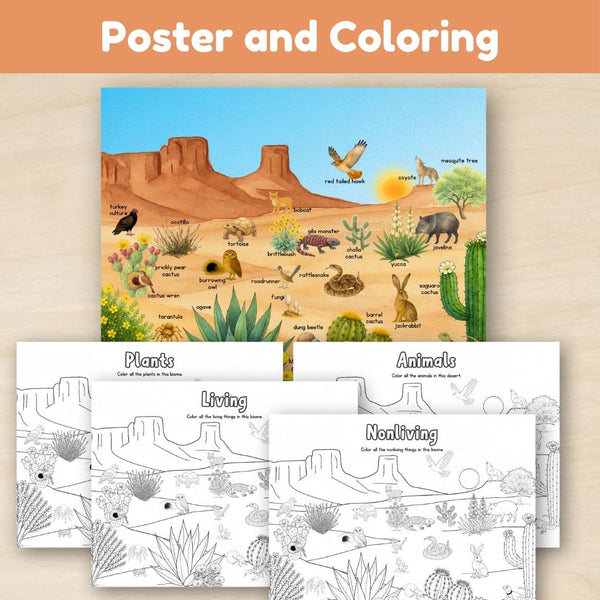 Desert Biome: Introduction - Trillium Montessori