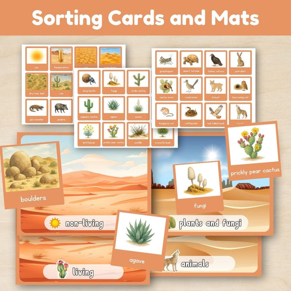 Desert Biome: Introduction - Trillium Montessori