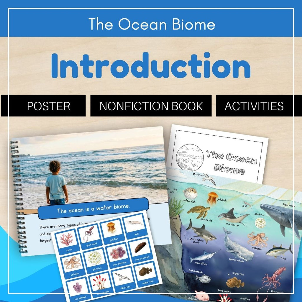 Ocean Biome: Introduction