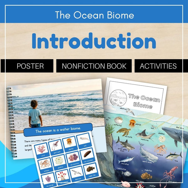 Ocean Biome: Introduction