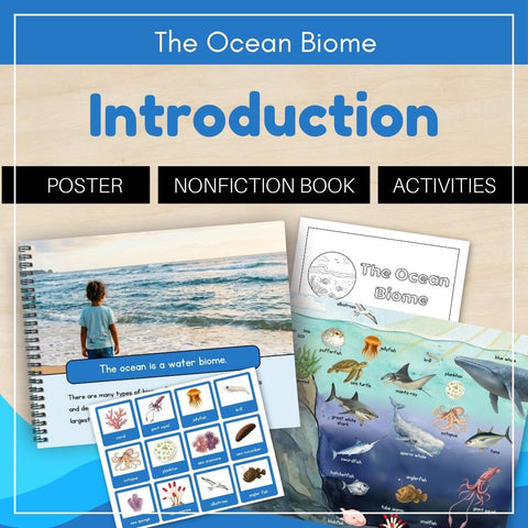 Ocean Biome: Introduction
