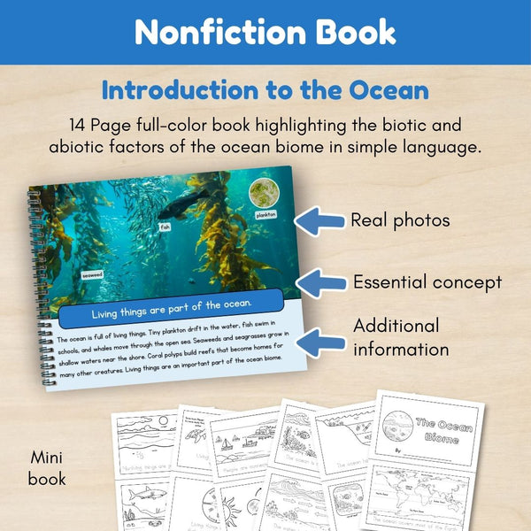 Ocean Biome: Introduction