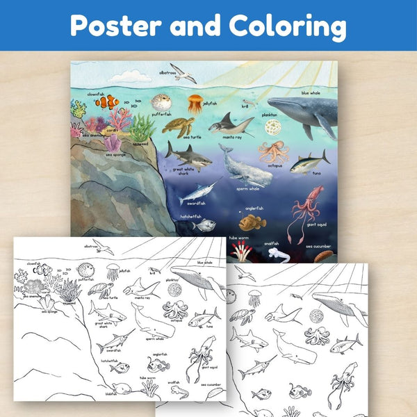 Ocean Biome: Introduction