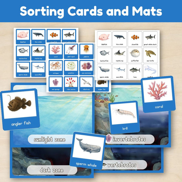 Ocean Biome: Introduction