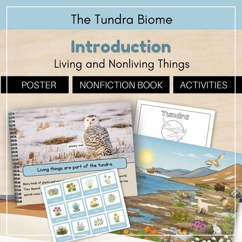 Tundra Biome: Introduction
