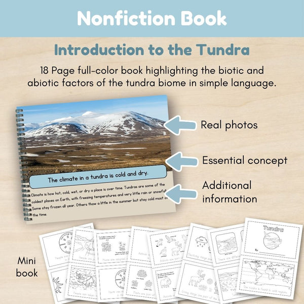 Tundra Biome: Introduction