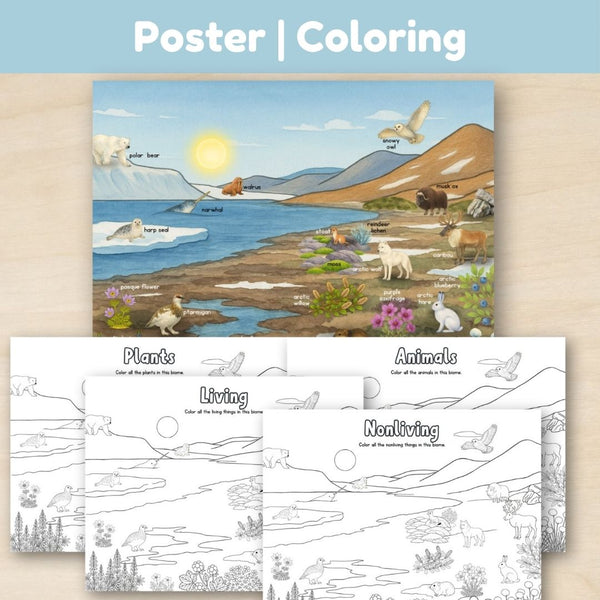 Tundra Biome: Introduction