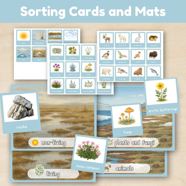 Tundra Biome: Introduction