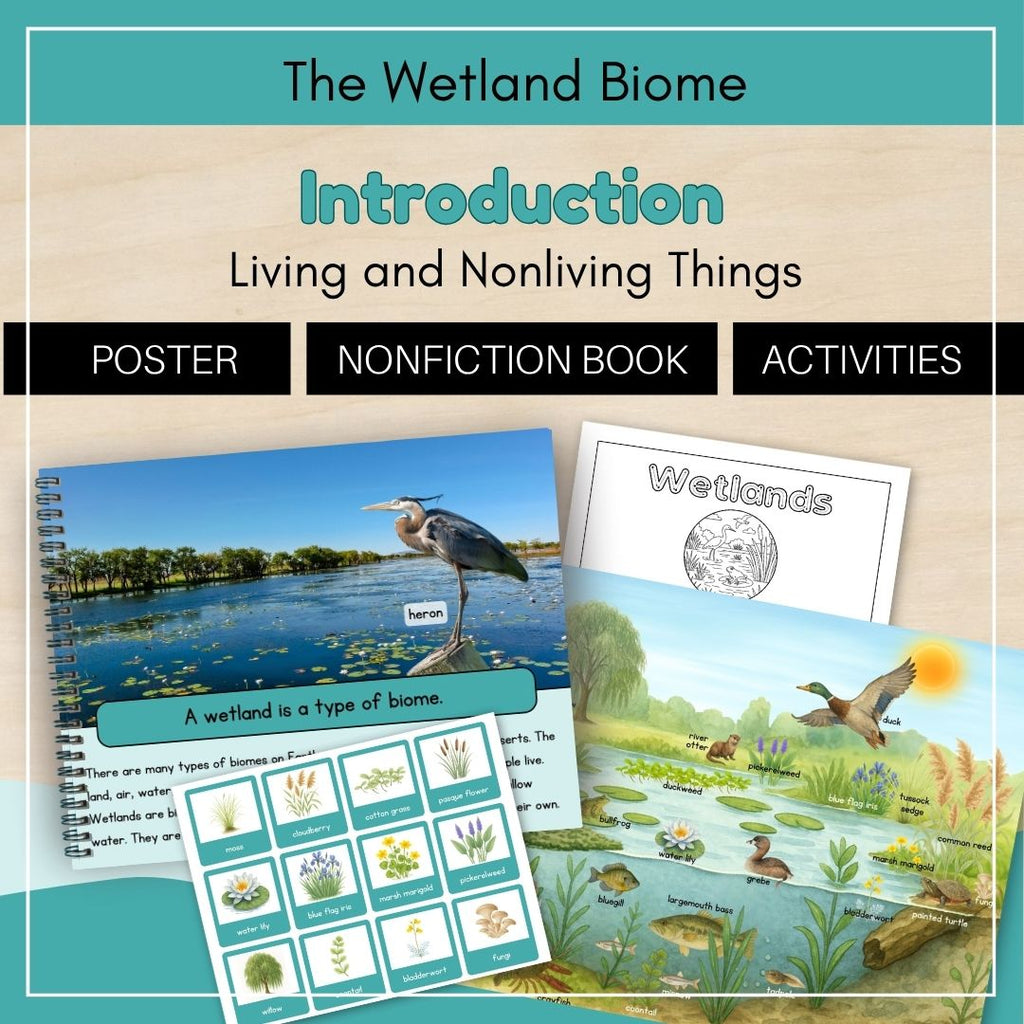 Wetland Biome: Introduction