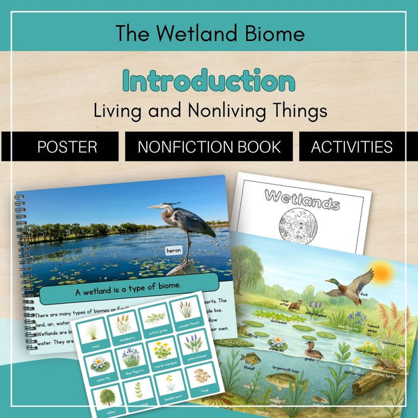 Wetland Biome: Introduction