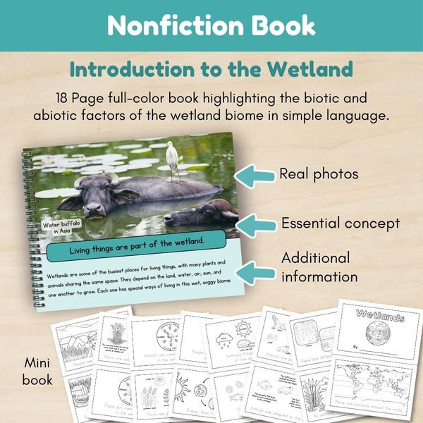 Wetland Biome: Introduction