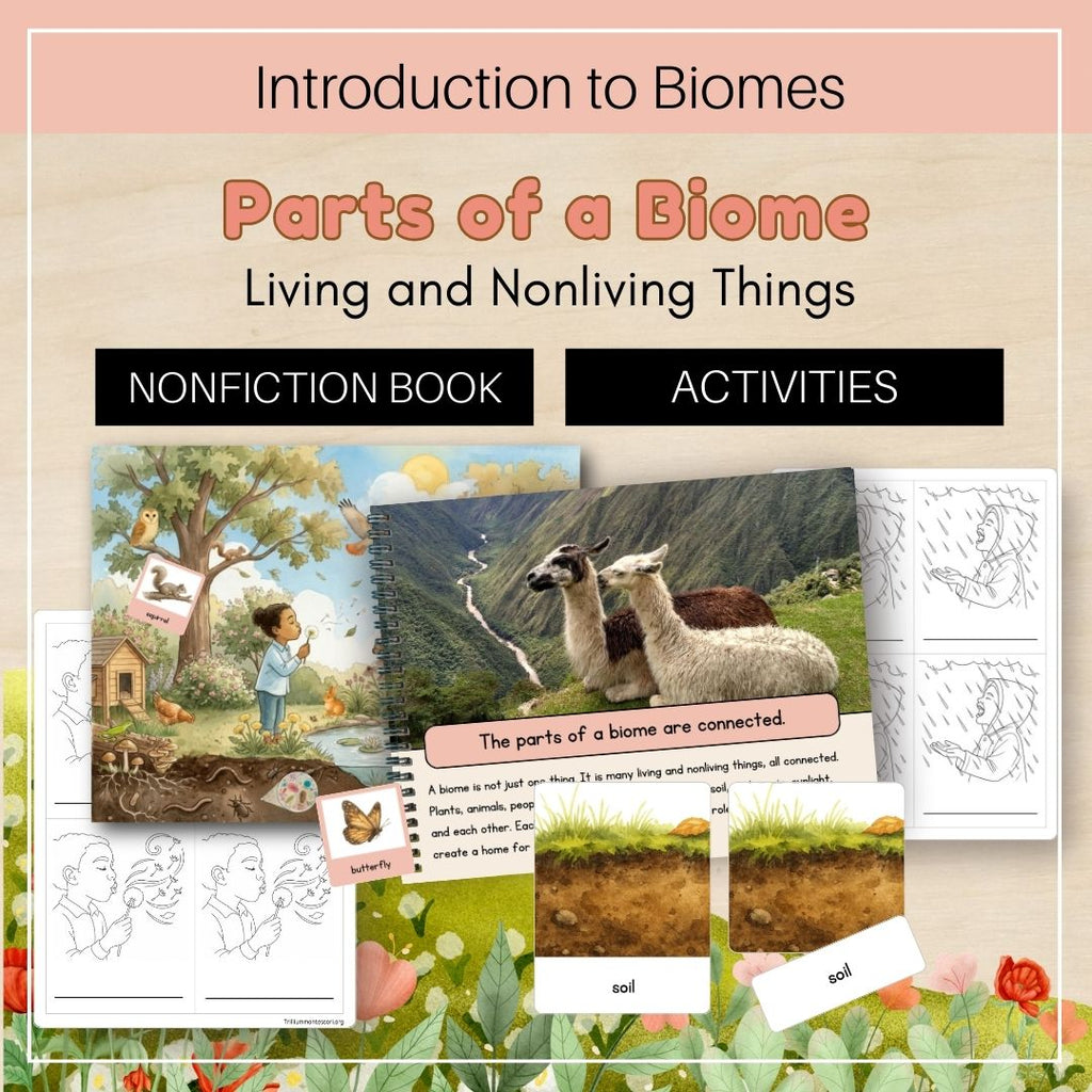 Introduction to Biomes: Parts of a Biome
