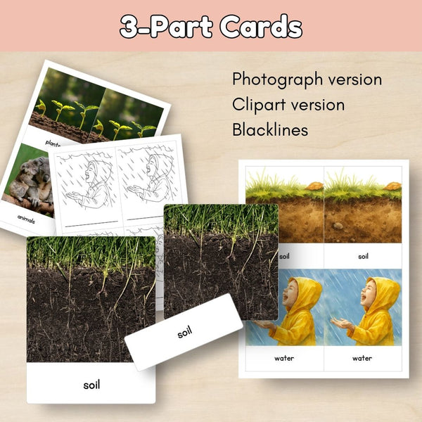 Introduction to Biomes: Parts of a Biome