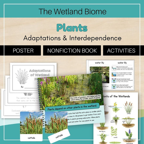 Wetland Biome: Plants